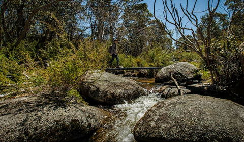 Pallaibo Walking Track - Accommodation Bookings 0