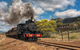 Pichi Richi Railway - thumb 0