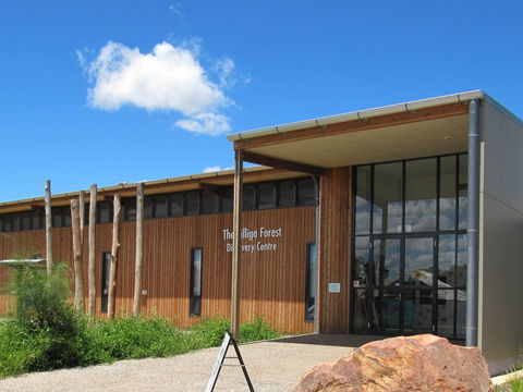 Pilliga Forest Discovery Centre - Accommodation Bookings 0