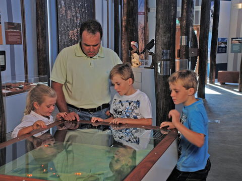 Pilliga Forest Discovery Centre - Accommodation Bookings 1