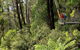 Pipers Lookout - thumb 0