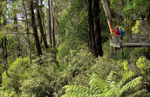 Pipers Lookout - Accommodation Bookings 0