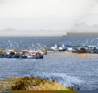 Portarlington - Accommodation Bookings