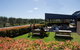 Pukara Estate - Denman Tasting Room - thumb 1