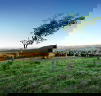 Ravensbourne National Park - Accommodation Bookings