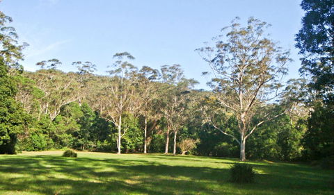 Red Cedar Flat Picnic Area - Accommodation Bookings 0