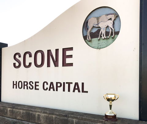 Scone - Accommodation Bookings 1