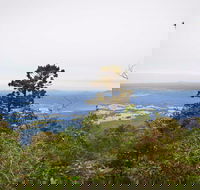 Slingsbys Trail and Syndicate Ridge Track - Accommodation Bookings