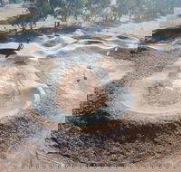 Stockinbingal Pump Track - Accommodation Bookings