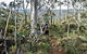 Summits Walking Track - thumb 0