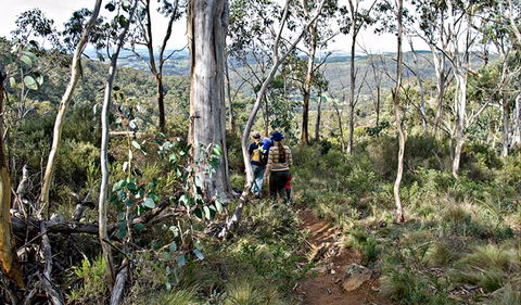 Summits Walking Track - Accommodation Bookings 0
