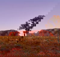 Sunrise Viewing Area Talinguru Nyakunytjaku - Accommodation Bookings