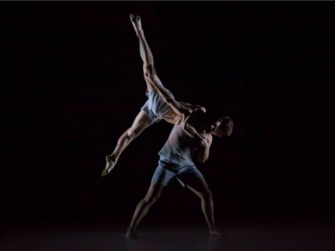Sydney Dance Company - Accommodation Bookings 0