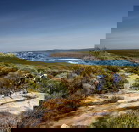 The Coast track - Accommodation Bookings
