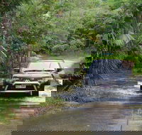 The Pioneer Valley and Eungella National Park - Accommodation Bookings