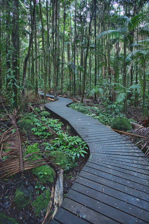 The Channon, Protesters Falls, Nimbin And Mount Nardi - Accommodation Bookings 0