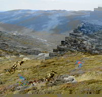 Thredbo Mountain Biking - Accommodation Bookings