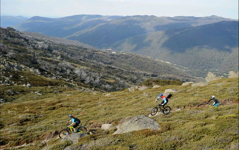 Thredbo Mountain Biking - Accommodation Bookings 0