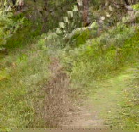 Three Views walking track - Accommodation Bookings