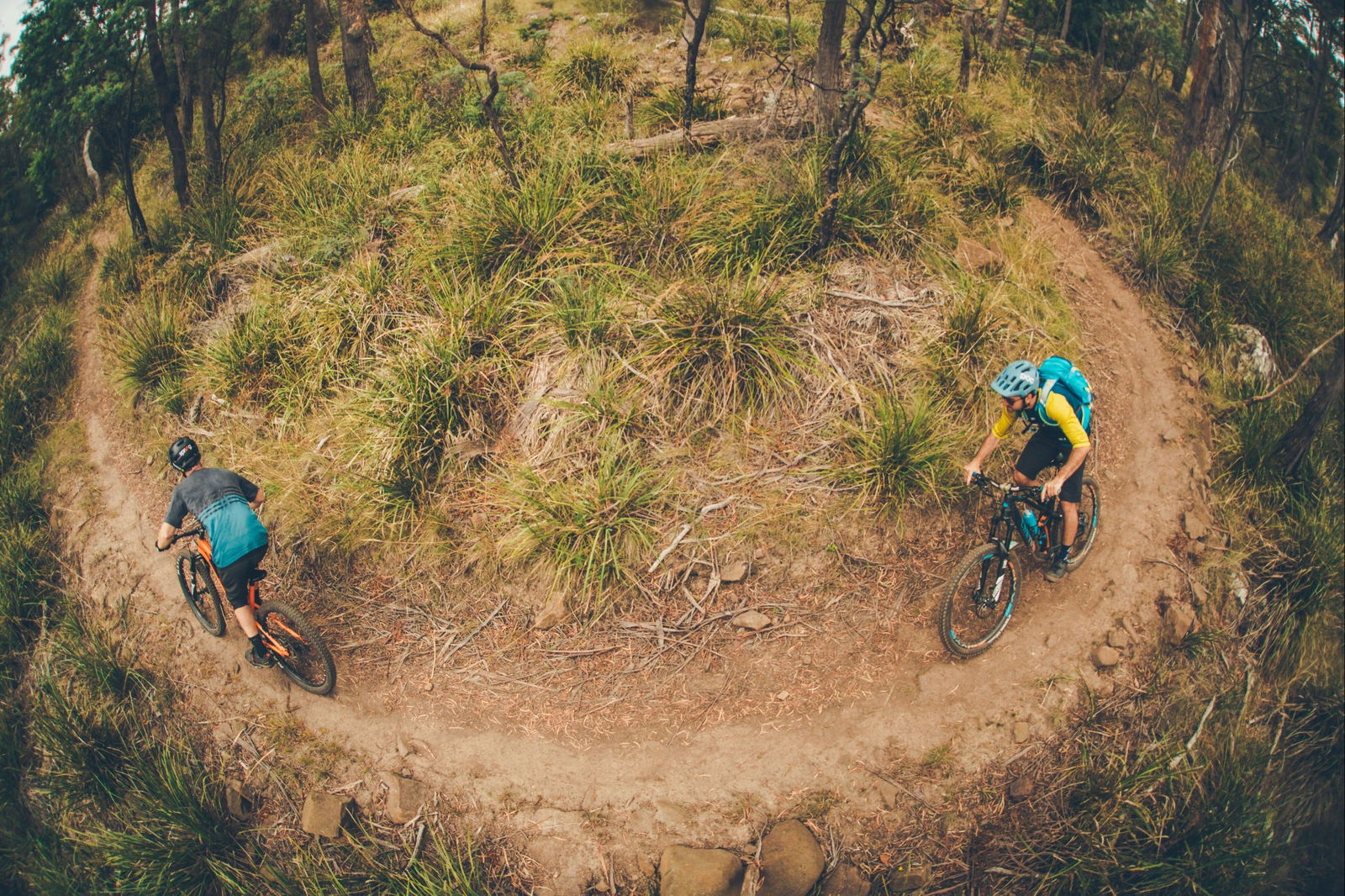 Newstead TAS Accommodation Bookings