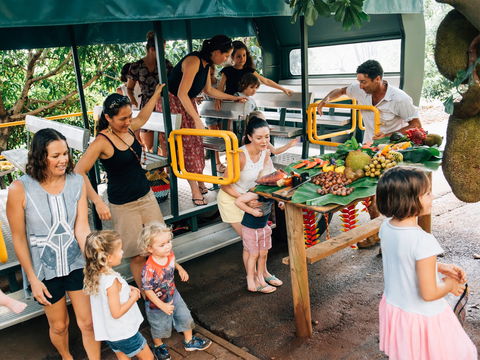 Tropical Fruit World - Accommodation Bookings 2