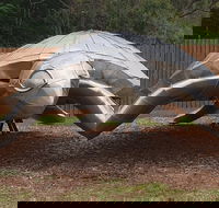 Underwater Marine Sculptures - Accommodation Bookings