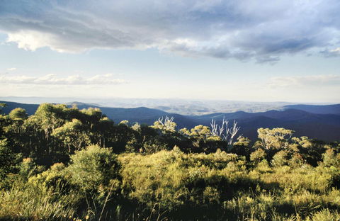 Vista Point Picnic Area - Accommodation Bookings 0