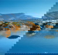 Wagonga Picnic Area - Accommodation Bookings