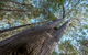 Wallumatta Nature Reserve - thumb 0