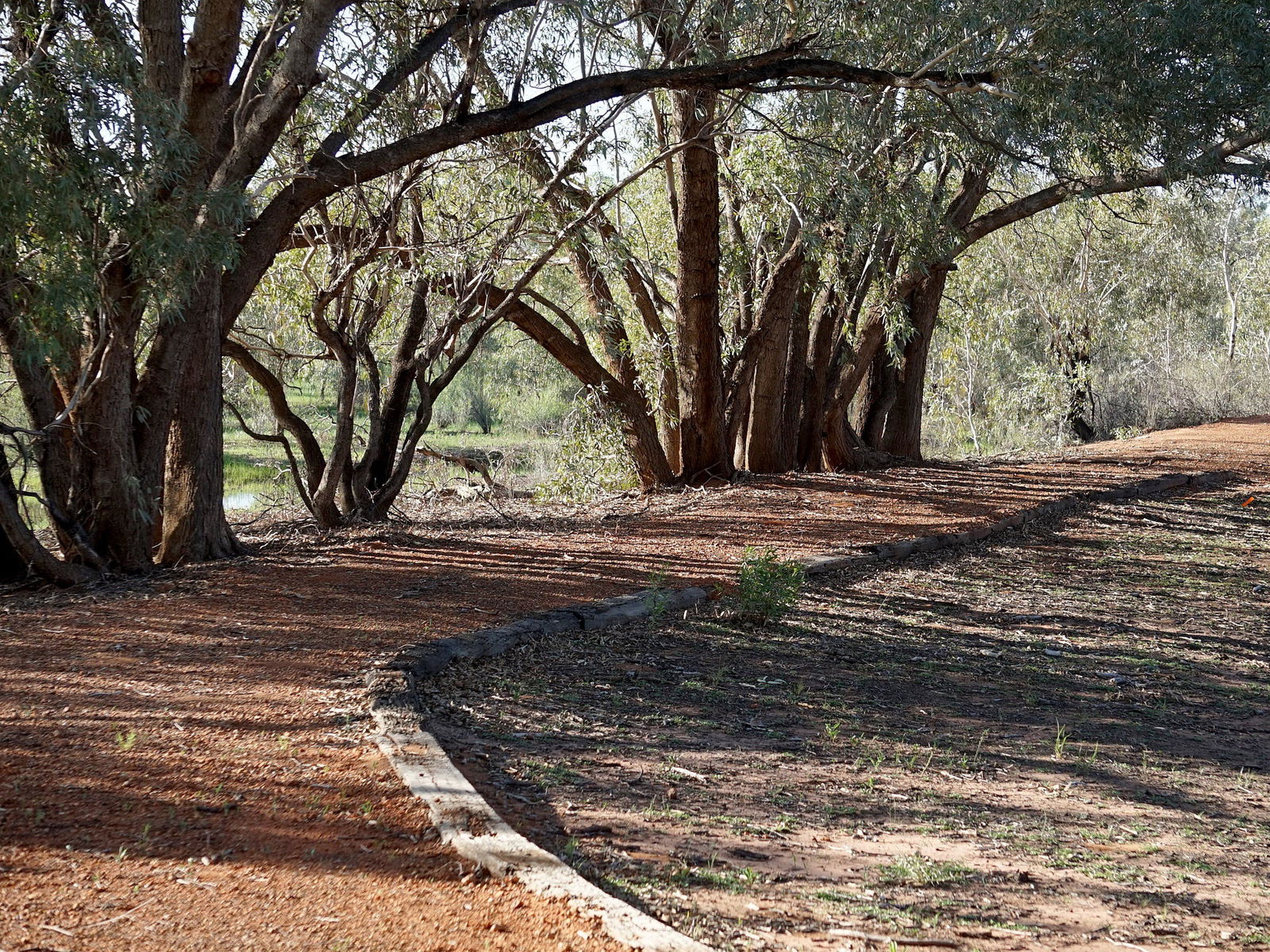 Louth NSW Accommodation Bookings