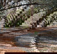 Warrego Floodplain walking track - Accommodation Bookings