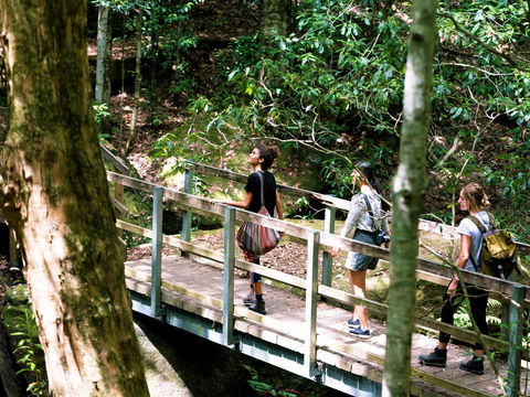 Watagans National Park - Accommodation Bookings 0