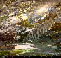 Wendy Whiteley's Secret Garden