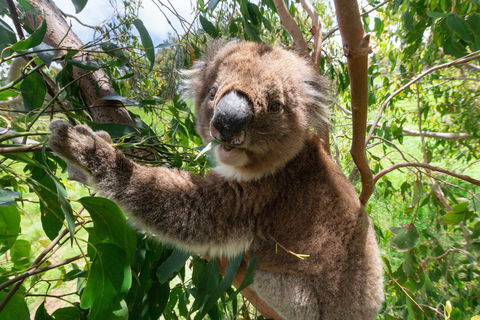 Wildlife Wonders - Accommodation Bookings 1