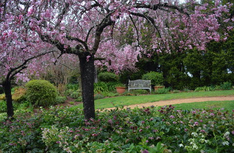 Wildwood Garden - Accommodation Bookings 2