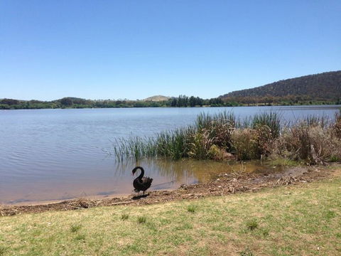 Yarralumla Bay - Accommodation Bookings 0