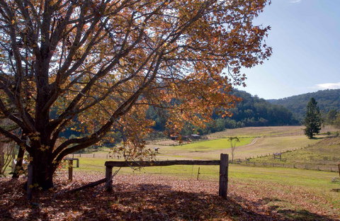 Yengo National Park - Accommodation Bookings 1
