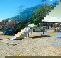 150th Meridian - Accommodation Bookings