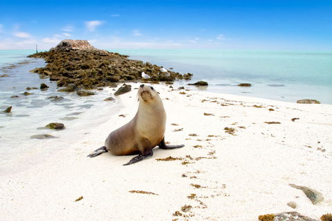Abrolhos Islands - Accommodation Bookings 0