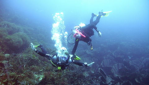 Abrolhos Islands - Accommodation Bookings 2