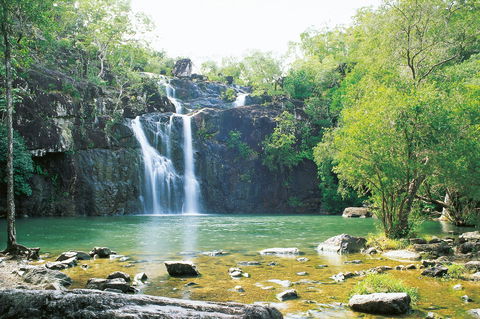 Airlie Beach To Cedar Creek Falls - Accommodation Bookings 0