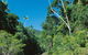 Airlie Beach To Cedar Creek Falls - thumb 1