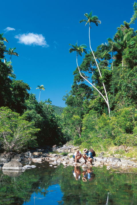 Airlie Beach To Cedar Creek Falls - Accommodation Bookings 1