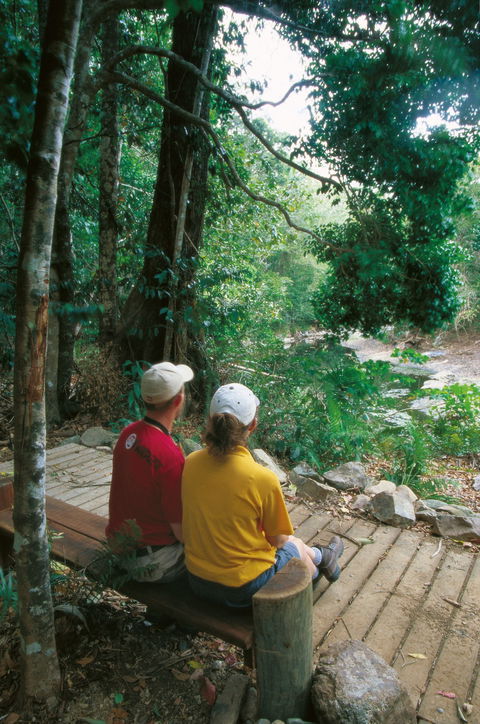 Airlie Beach To Cedar Creek Falls - Accommodation Bookings 2