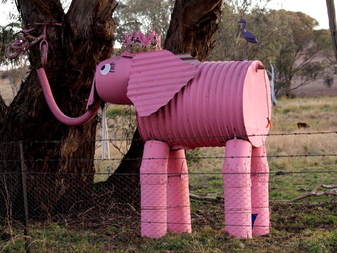 Animals On Bikes - Accommodation Bookings 0