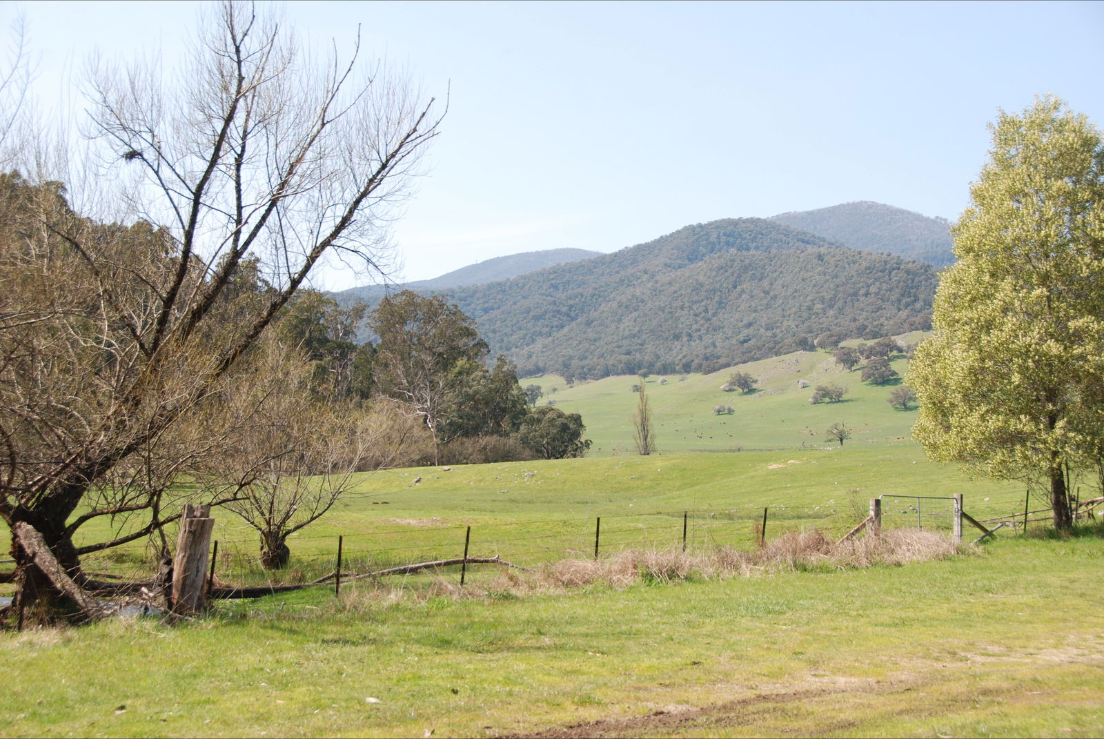Dartmouth VIC Accommodation Bookings