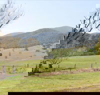 Banimboola Creek Rest Area - Accommodation Bookings