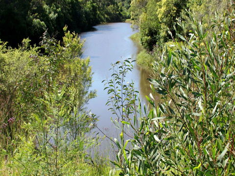 Blue Gum Hills Regional Park - Accommodation Bookings 1