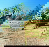 Boab Prison Tree - Accommodation Bookings