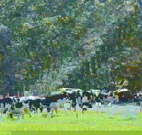 Boyanup - Accommodation Bookings